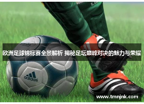 欧洲足球锦标赛全景解析 揭秘足坛巅峰对决的魅力与荣耀